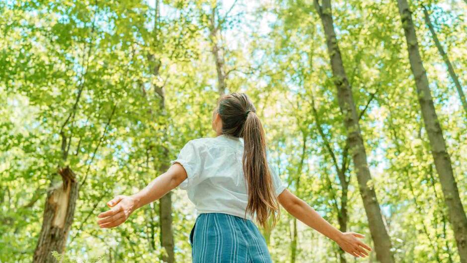 Sylvamos Bemühungen, die Biodiversität zu schützen und in lokale Gemeinschaften zu investieren, unterstreichen unsere Rolle als verantwortungsbewusste Verwalter natürlicher Ressourcen.